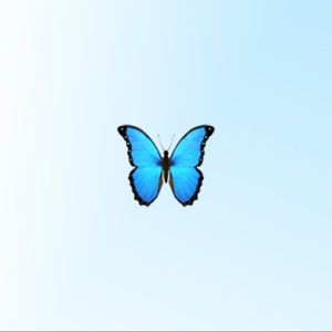 Meet your Posher, Risa